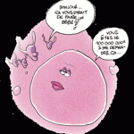 illustr_ovule illustr_ovule