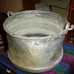 Galeata
