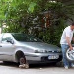 Pe butuci